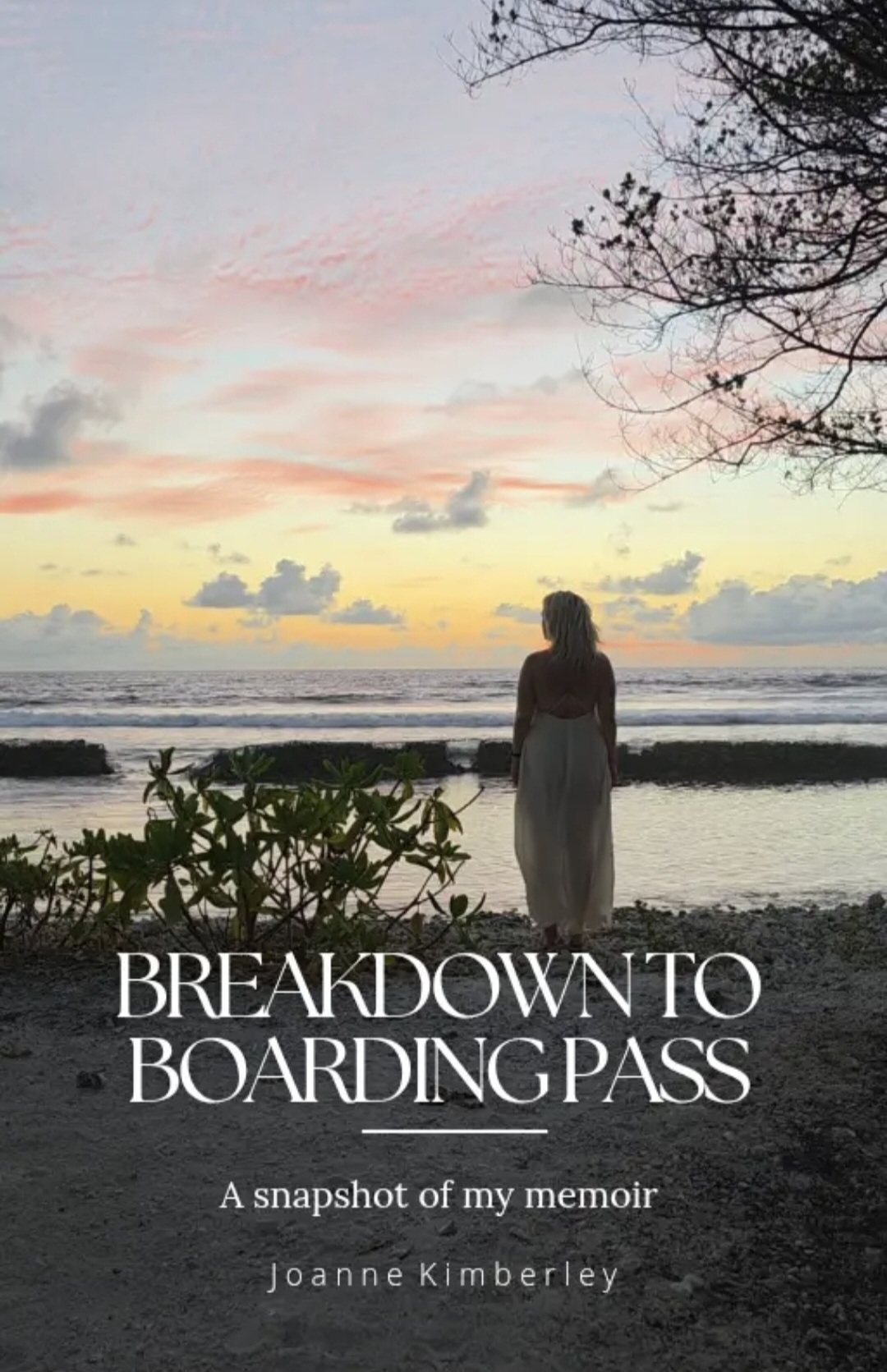 Breakdown to Boarding Pass — the memoir cover by Joanne Kimberley